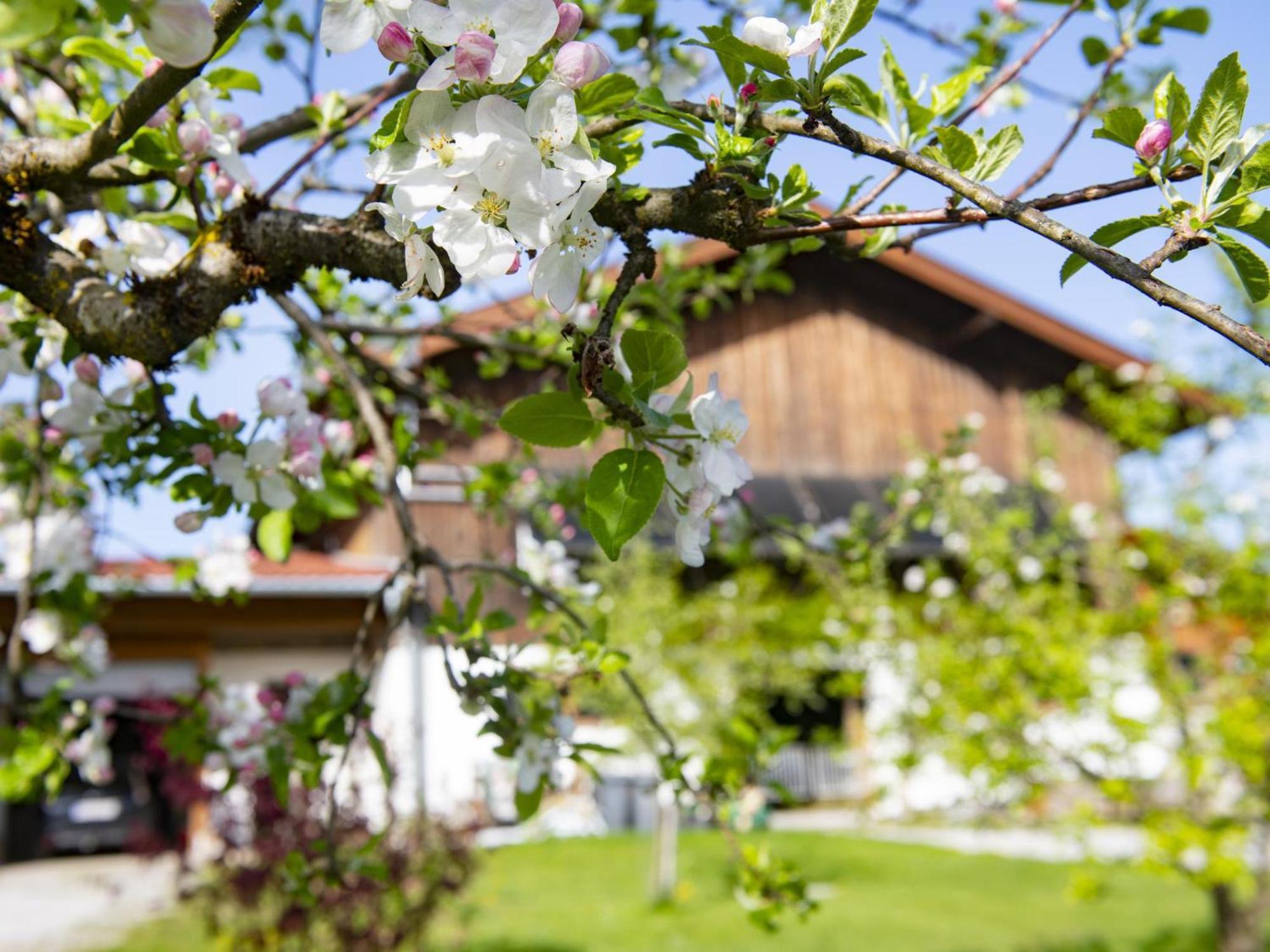 Schwoich Auszeit Am Bauernhof 아파트 외부 사진